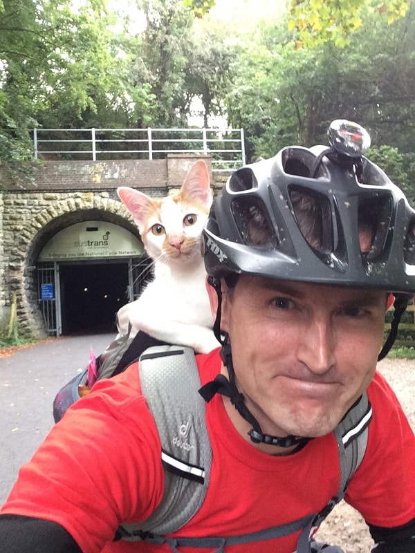 chat amical s'approche cycliste manière plus adorable