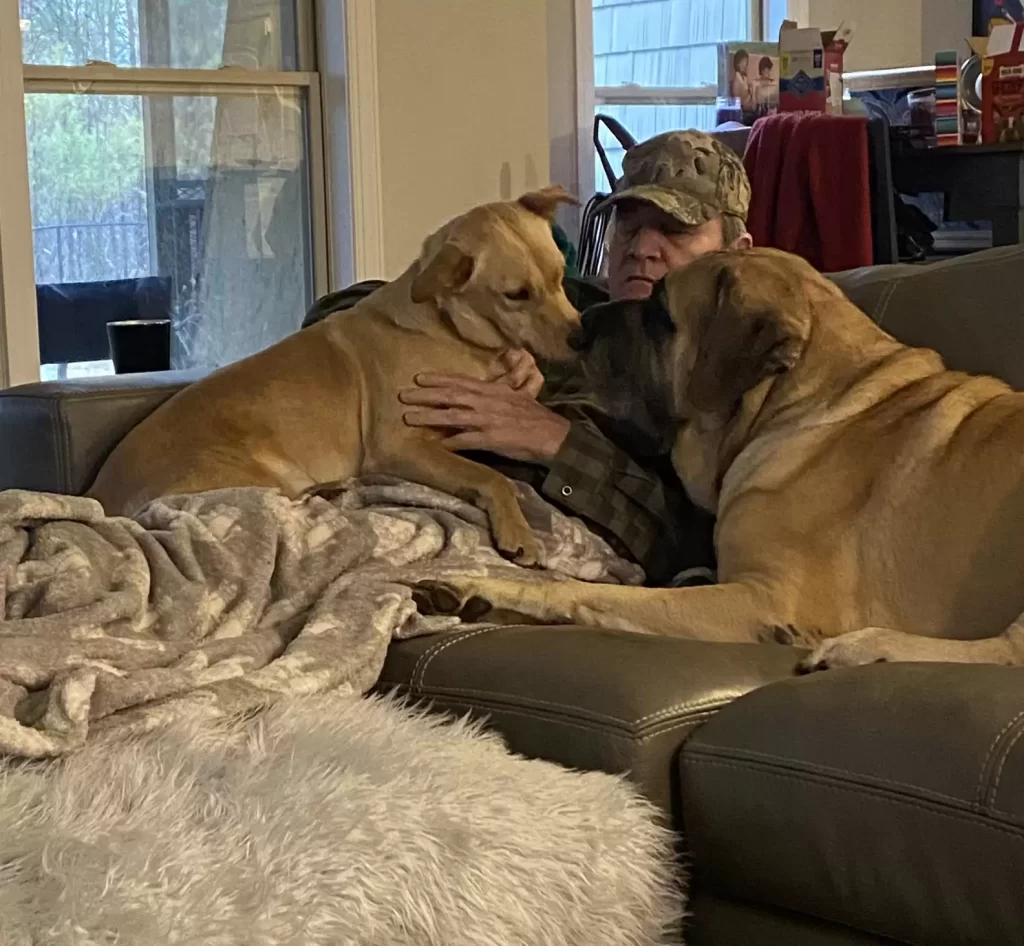 femme surprend père en train faire sieste avec tous chiens voisin