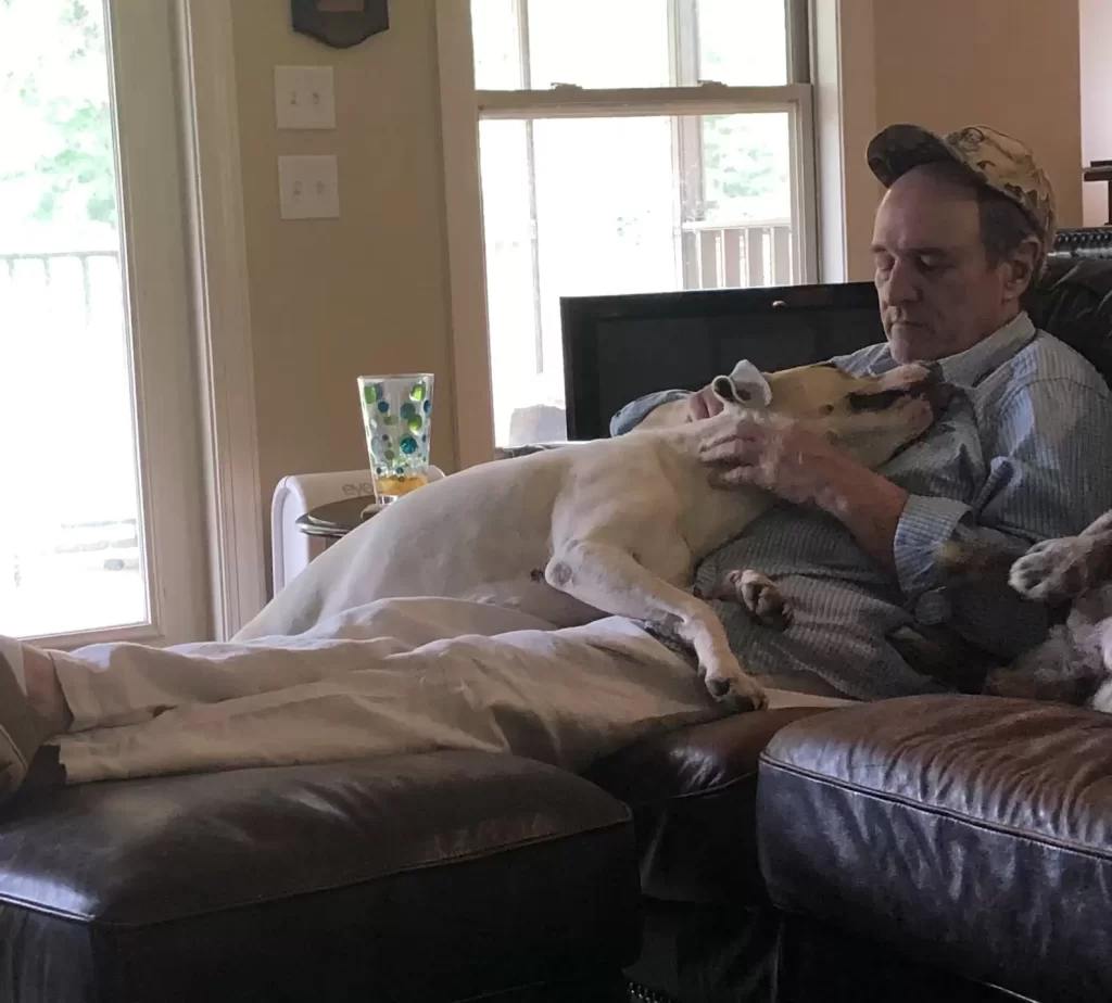 femme surprend père en train faire sieste avec tous chiens voisin