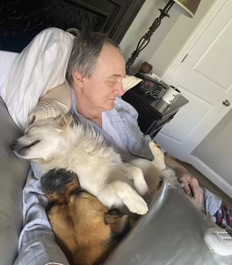 femme surprend père en train faire sieste avec tous chiens voisin