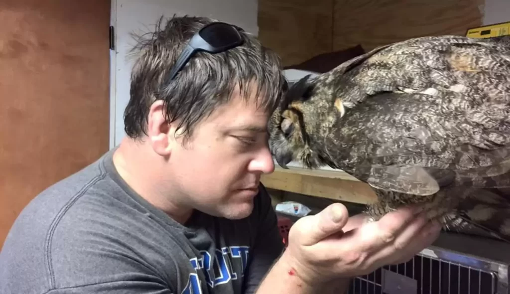hibou reconnaissant fait gros câlin l'homme l'a sauvé mort