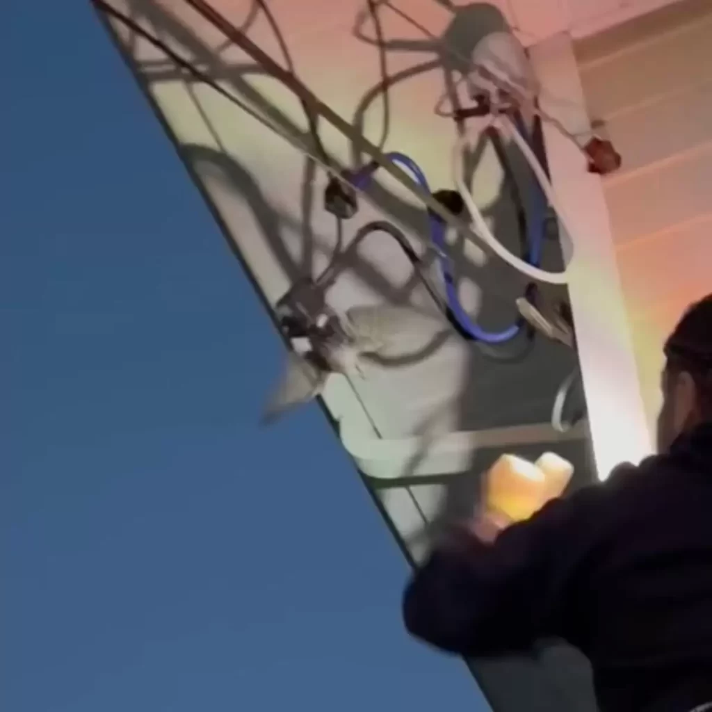 sauveteur fait course contre montre sauver oiseau emmêlé fil électrique sous tension