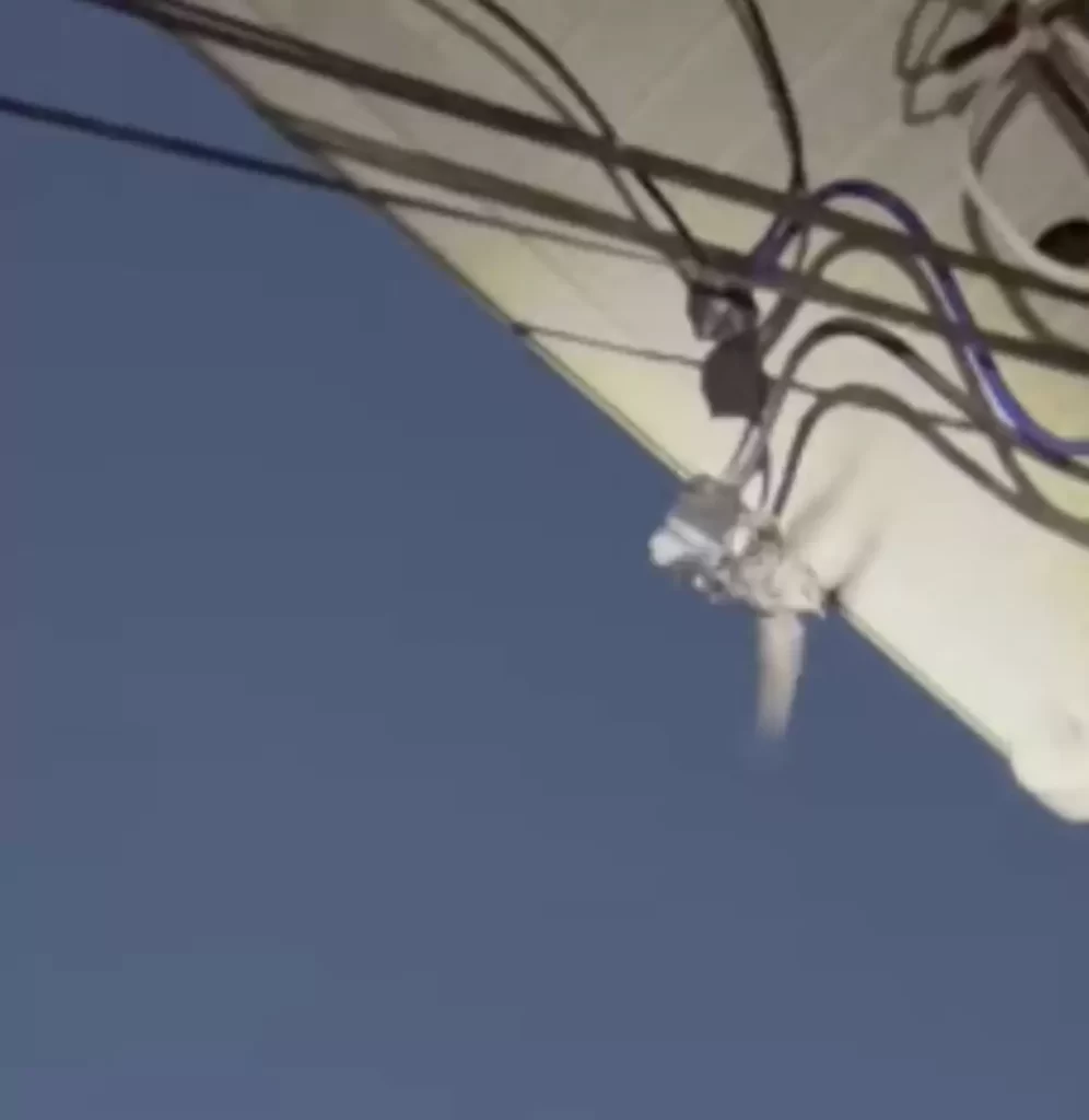 sauveteur fait course contre montre sauver oiseau emmêlé fil électrique sous tension