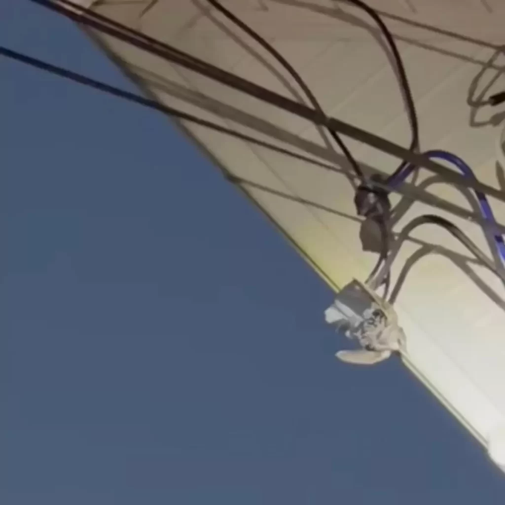 sauveteur fait course contre montre sauver oiseau emmêlé fil électrique sous tension