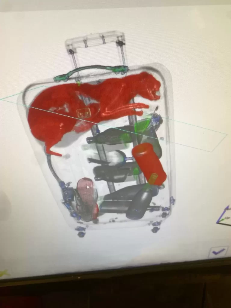 sécurité l'aéroport trouve quelqu'un d'inattendu caché bagages passager