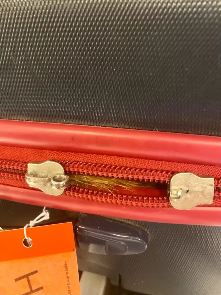 sécurité l'aéroport trouve quelqu'un d'inattendu caché bagages passager