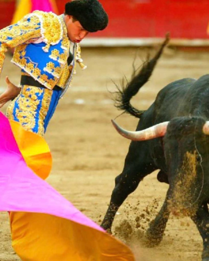 Mexicains célèbrent suspension saison corridas