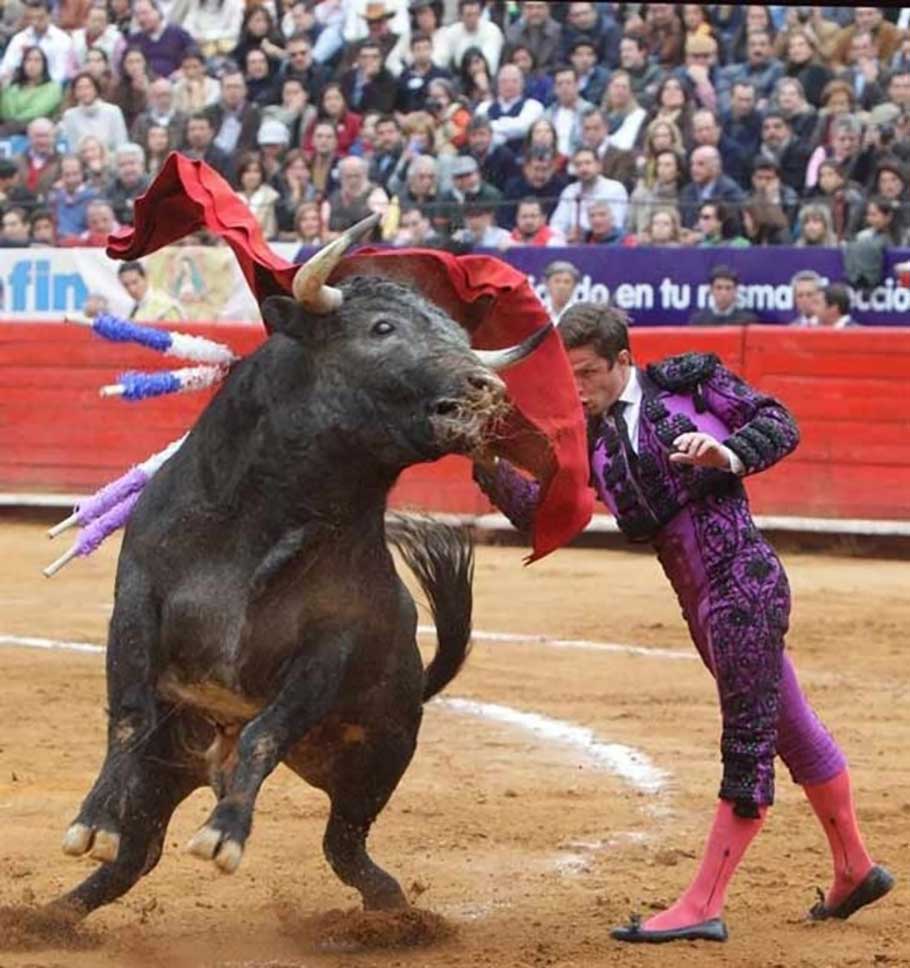 Mexicains célèbrent suspension saison corridas