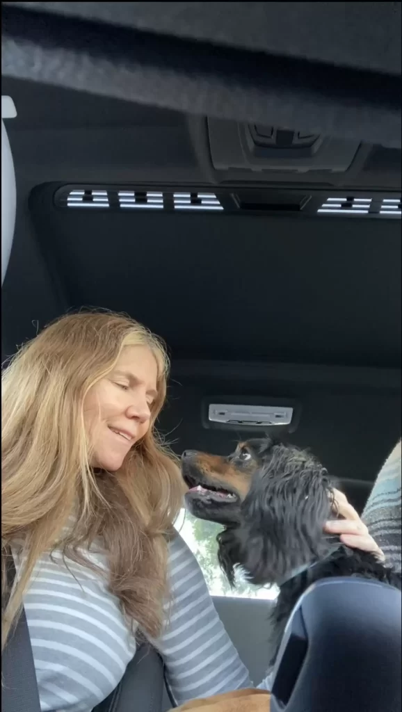 chiot perdu se précipite vers femme qui ne connaît rien chiens lui demande l'aide