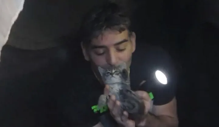 homme héroïque saute égout pluvial sauver chaton
