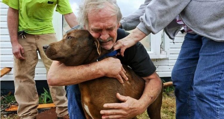 homme sauvé chien atteint maladie grave dépensant toute économies .
