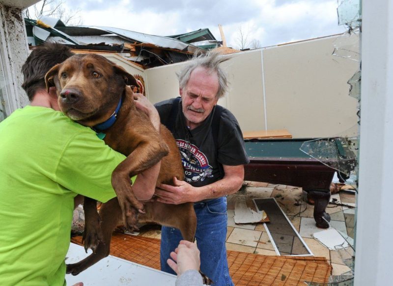 homme sauvé chien atteint maladie grave dépensant toute économies .