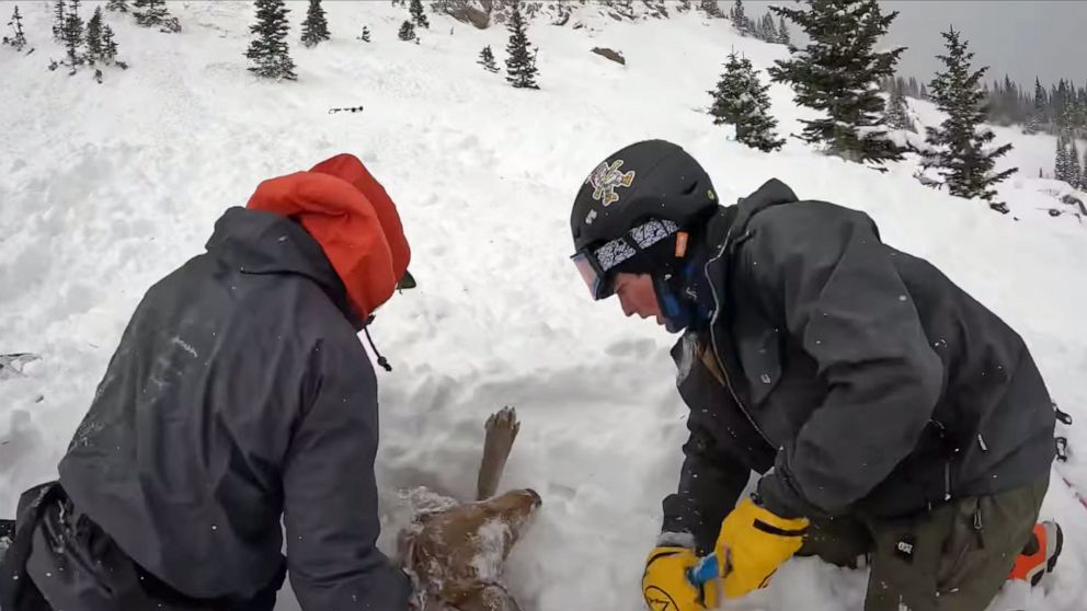 vidéo casque capture élèves sauvant chien enseveli avalanche.