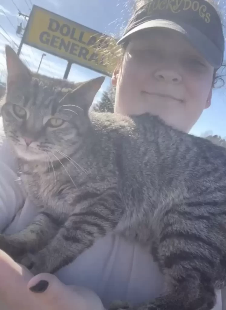 chat s'approche femme dans parking supplie rentrer maison avec elle