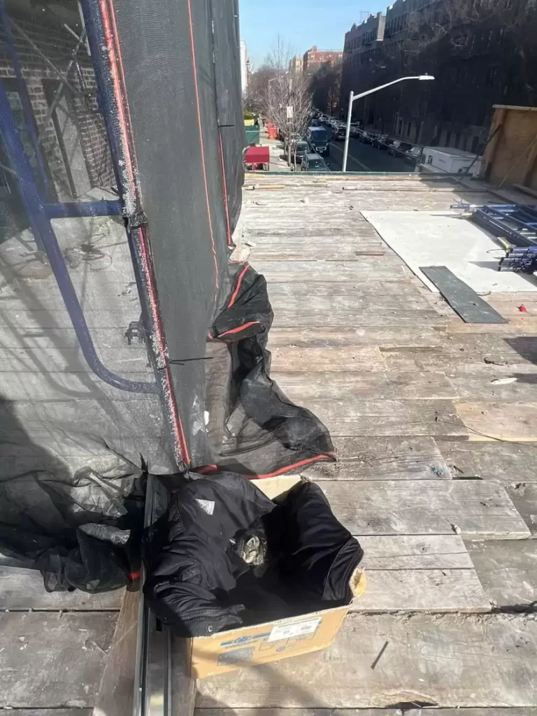 travailleurs construction trouvent chaton congelé sur terain en attendant l'aide