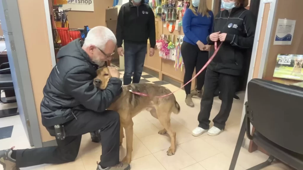 chien refuge longue date refuse partir sans embrasser tous membres personnel