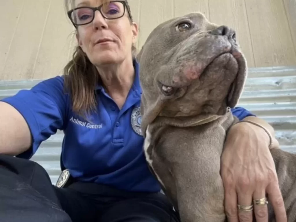 chien refuge soulagé remercie sauveteurs avec plus gros câlins