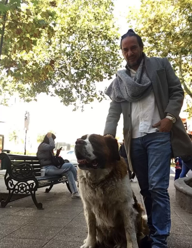 chien «guide» mauvaise influence conduit toujours son père à bar préféré