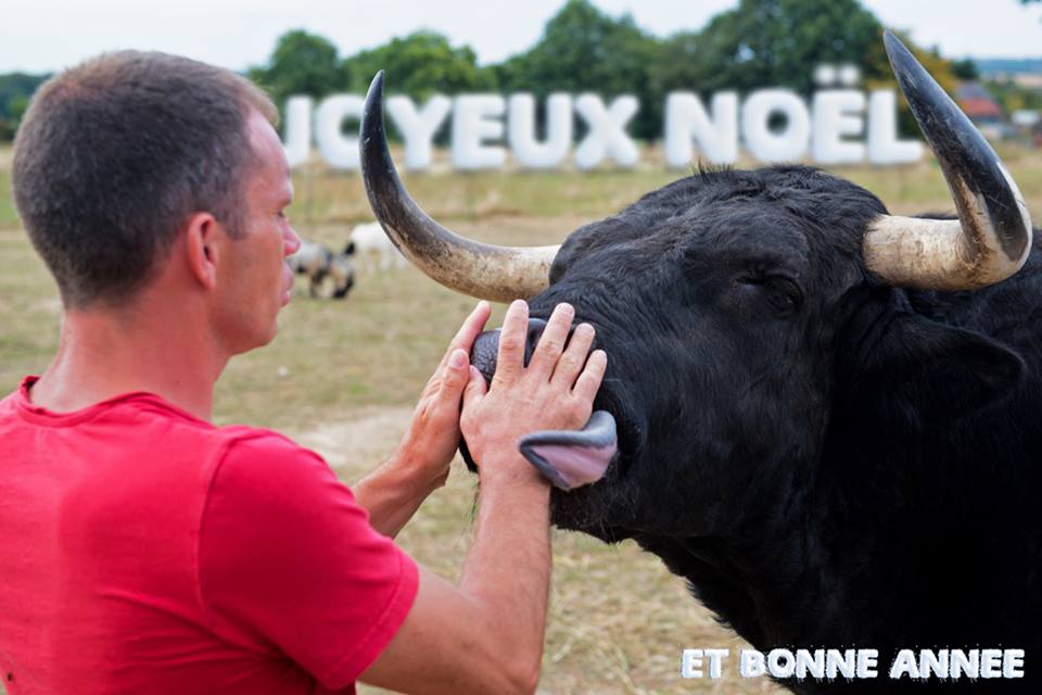 homme a sauvé taureau d'une corrida l'a remercié un an plus tard