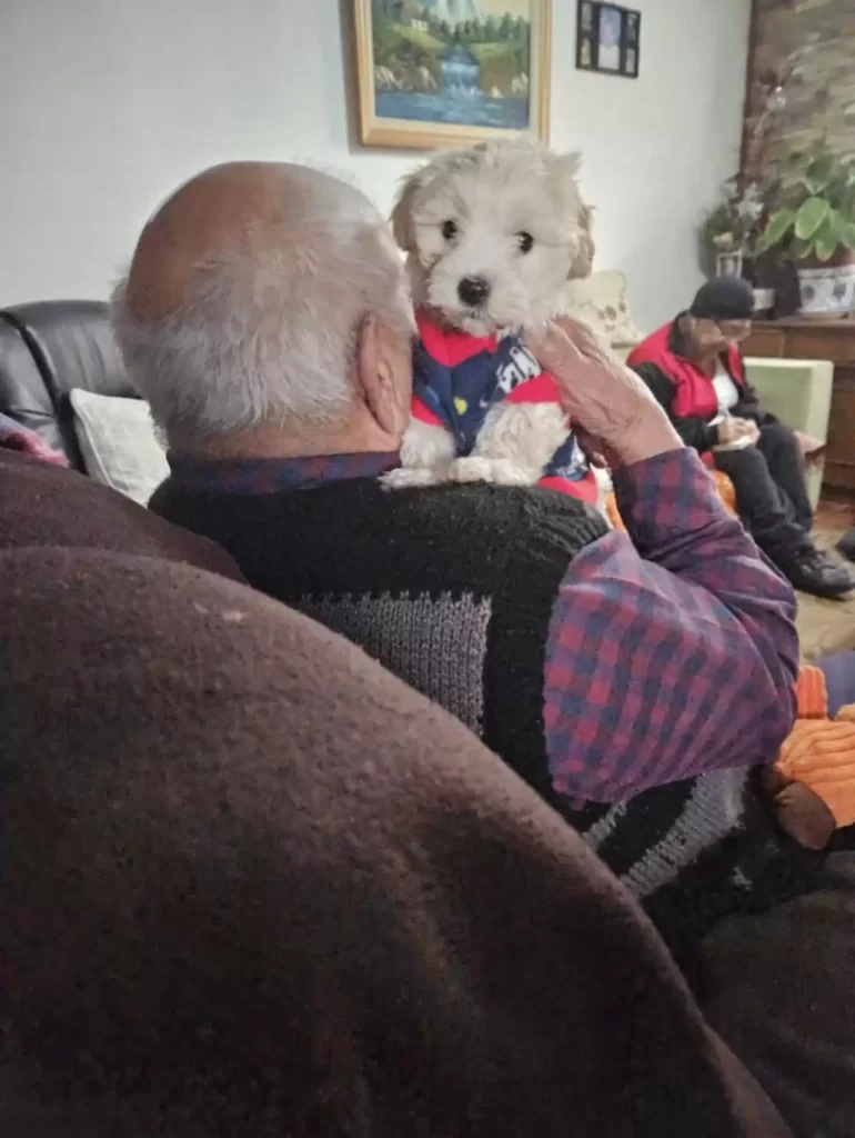 grand-père 96 ans commence vieillir à l'envers l'entrée chiot dans sa vie