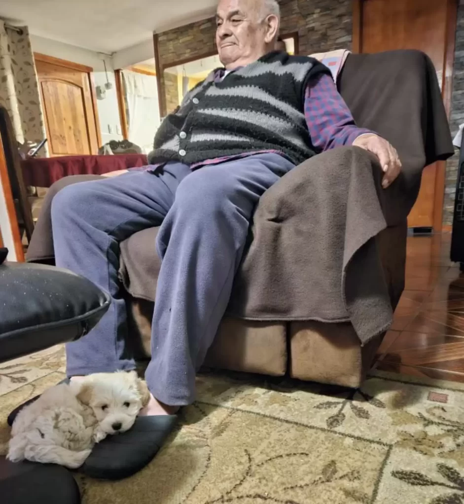 grand-père 96 ans commence vieillir à l'envers l'entrée chiot dans sa vie