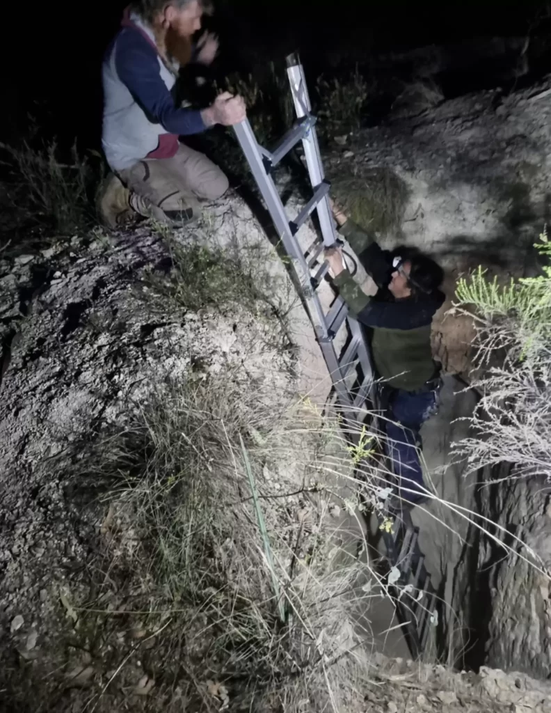 les sauveteurs trouvent kangourou coincé dans le puits mine font compte qu'elle n'est pas seule