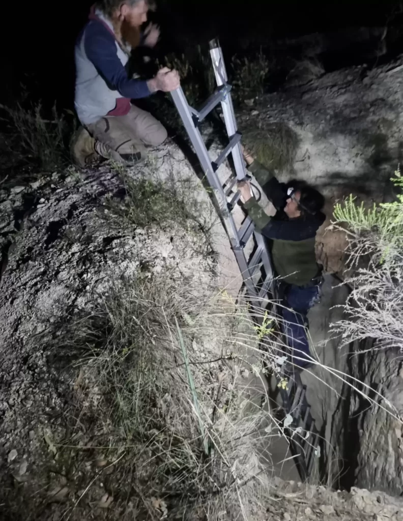 sauveteurs trouvent kangourou coincé dans puits mine rendent compte qu'elle n'est pas seule