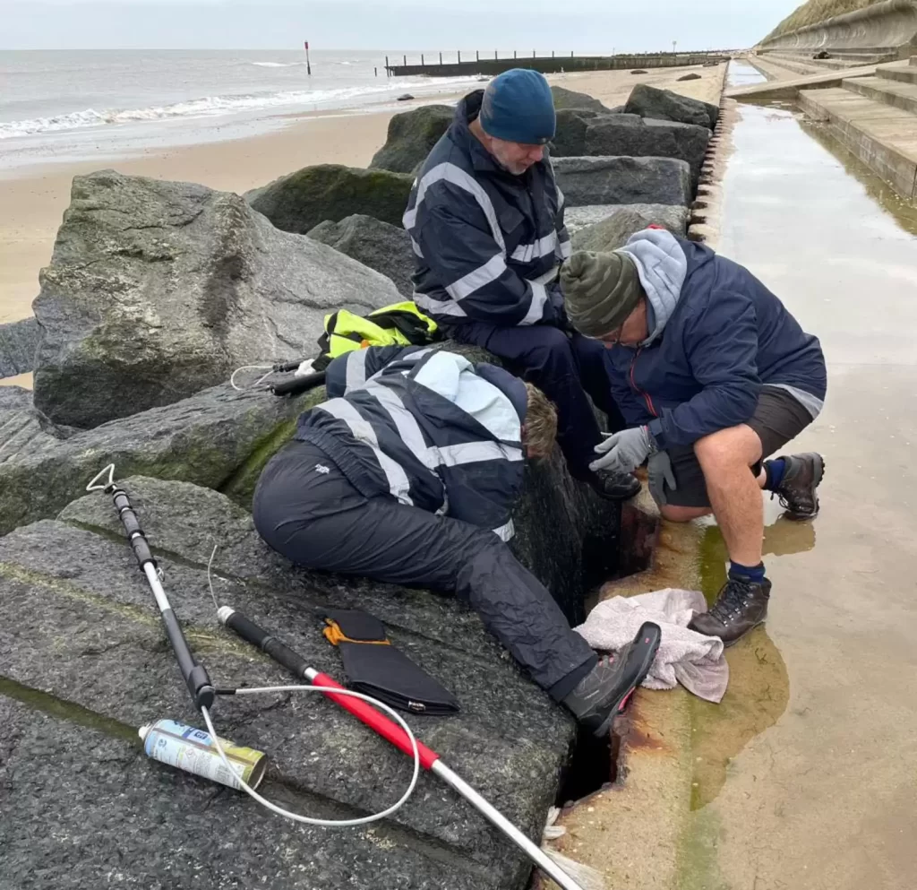 femme marchant sur plage voit visage enfoui parmi rochers