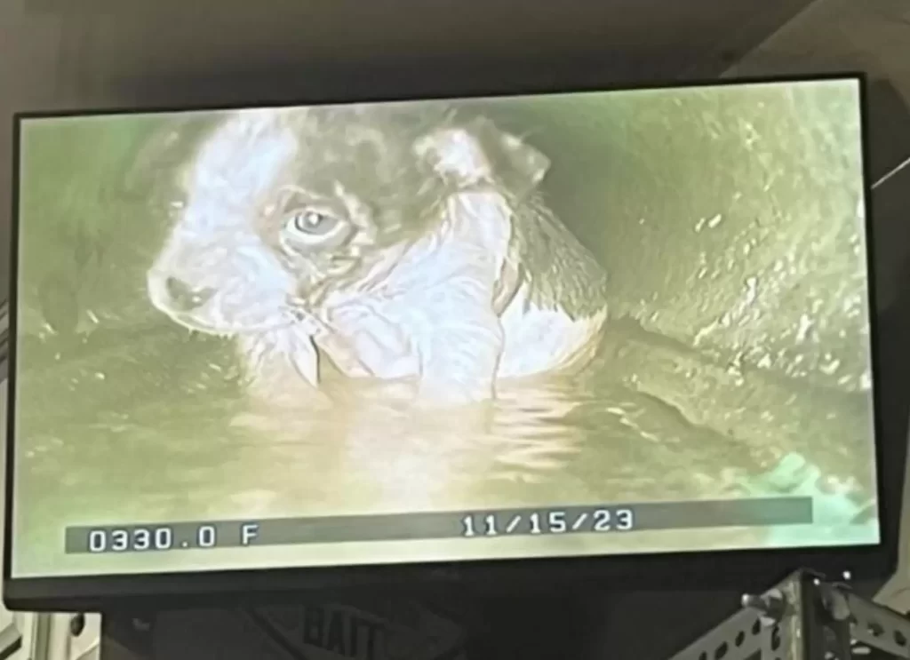 sauveteurs envoient caméra dans tuyau d'évacuation étroit trouvent bébé frissonnant à l'intérieur