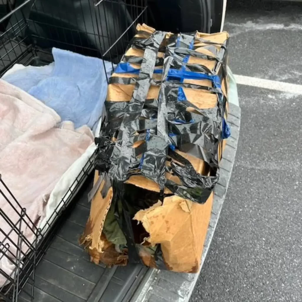 gens entendent cris venant de l’intérieur boîte scotchée laissée à l’extérieur d’un McDonald’s