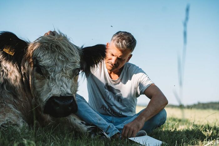 Cow Whisperer quitte son emploi ville créer vie meilleure animaux ferme monde entier.
