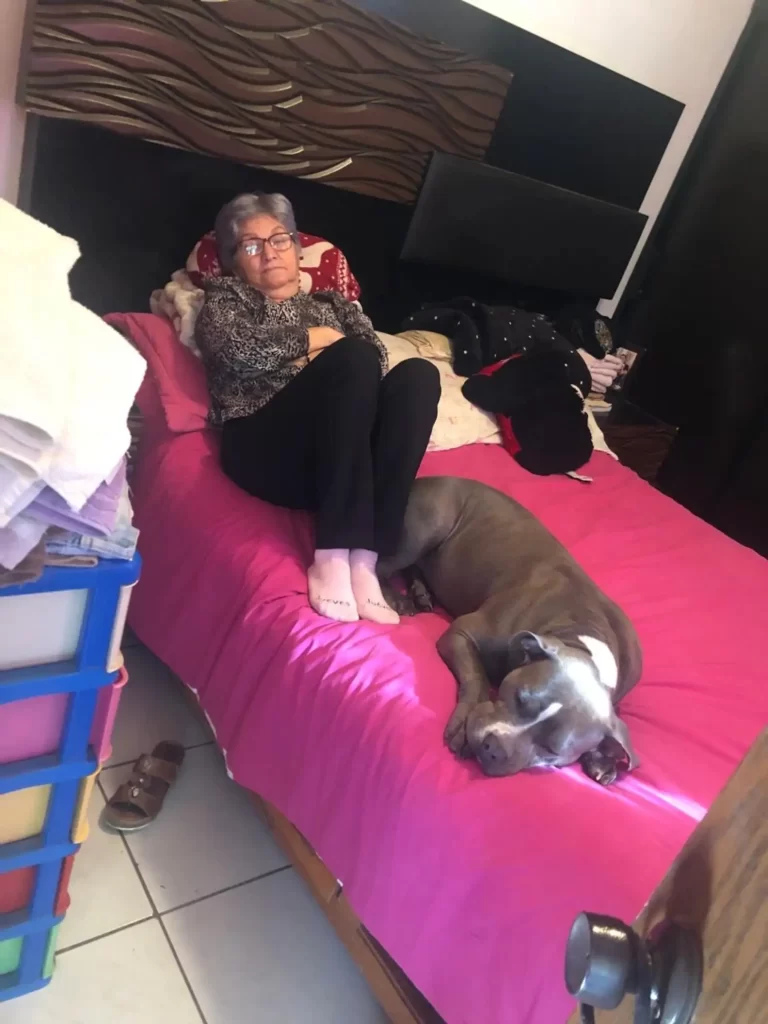 chien cœur brisé n'arrête regarder cette photo quand comprend pourquoi on ne peut arrêter pleurer