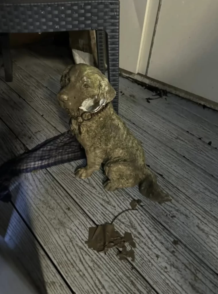 sauveteurs se précipitent sauver chien coincé dans fossé découvrent qui se passe réellement